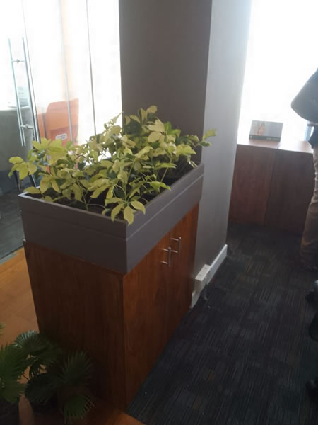 EG Plant Gallery (10)